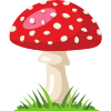 Mushrooms